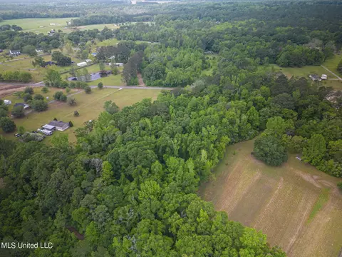 0 Billy Hinton Rd, Lucedale, MS 39452 photo 7