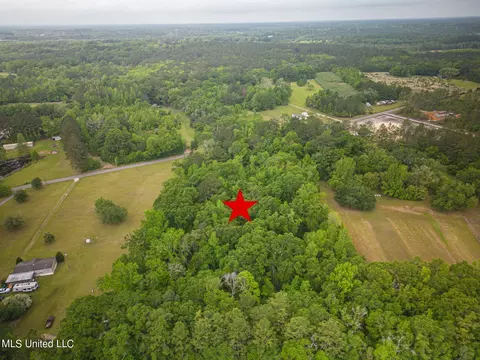 0 Billy Hinton Rd, Lucedale, MS 39452