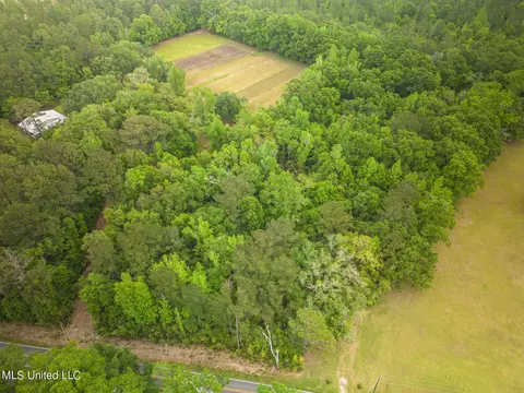 0 Billy Hinton Rd, Lucedale, MS 39452 photo 2