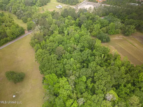 0 Billy Hinton Rd, Lucedale, MS 39452 photo 9
