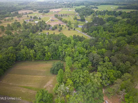 0 Billy Hinton Rd, Lucedale, MS 39452 photo 6