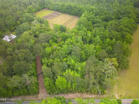 0 Billy Hinton Rd, Lucedale, MS 39452 photo 3