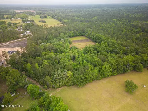 0 Billy Hinton Rd, Lucedale, MS 39452 photo 10
