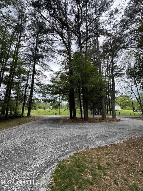 View/Area - 2902 Nolan Rd, Olive Branch, MS 38654 photo 1 of 1