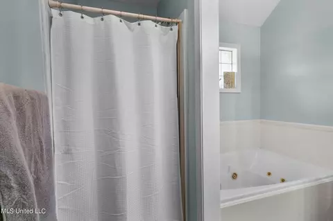 Bath - 907 Fairview Pl, Brandon, MS 39047 photo 3 of 4