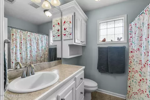 Bath - 907 Fairview Pl, Brandon, MS 39047 photo 4 of 4
