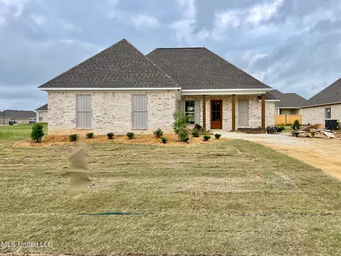 917 Glenwild Cir, Canton, MS 39046