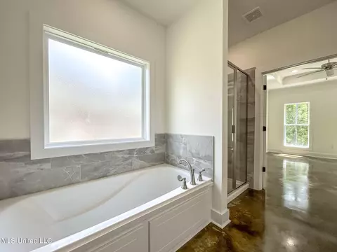 Bath - 933 Riverside Ln, Pearl, MS 39208 photo 3 of 4