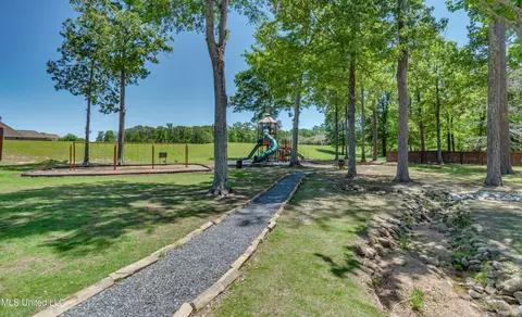Exterior - 1436 Ruby Pointe Pointe, Flowood, MS 39232 photo 23 of 25