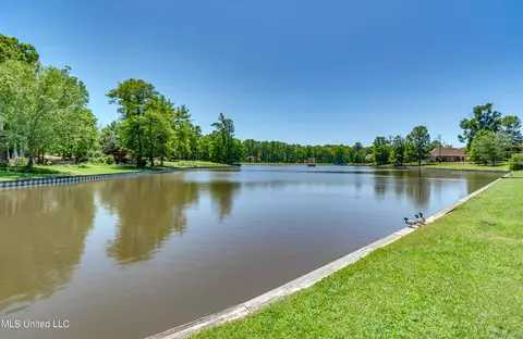 View/Area - 1436 Ruby Pointe Pointe, Flowood, MS 39232 photo 1 of 1