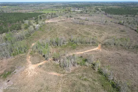 Harrison Road, Forest, MS 39074 photo 7