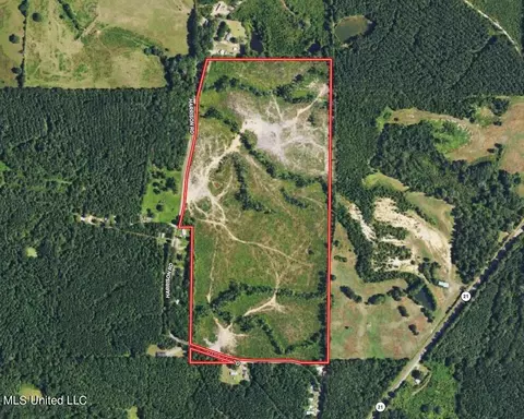 Harrison Road, Forest, MS 39074 photo 32