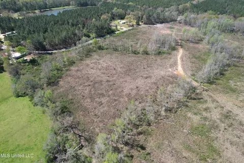Harrison Road, Forest, MS 39074 photo 16