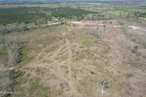 Harrison Road, Forest, MS 39074 photo 14