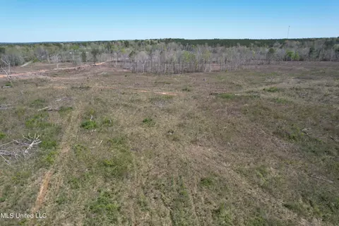 Harrison Road, Forest, MS 39074 photo 17