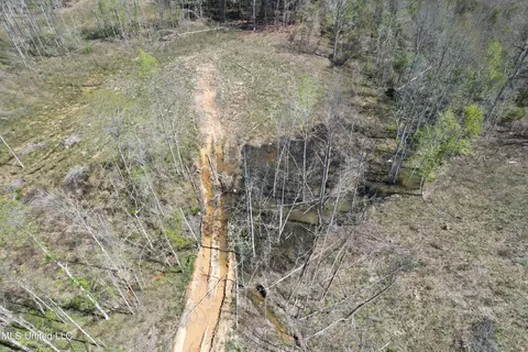 Harrison Road, Forest, MS 39074 photo 28