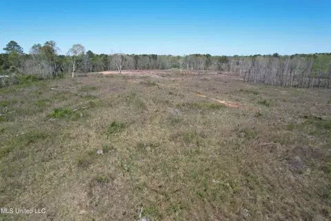 Harrison Road, Forest, MS 39074 photo 19