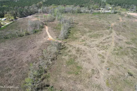 Harrison Road, Forest, MS 39074 photo 15