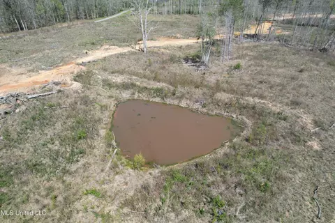 Harrison Road, Forest, MS 39074 photo 22