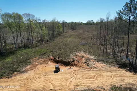 Harrison Road, Forest, MS 39074 photo 24