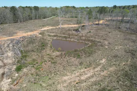 Harrison Road, Forest, MS 39074 photo 21