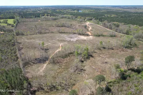 Harrison Road, Forest, MS 39074 photo 3
