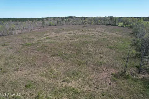 Harrison Road, Forest, MS 39074 photo 18