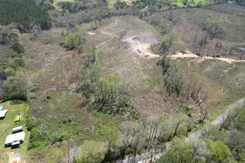 Harrison Road, Forest, MS 39074 photo 13