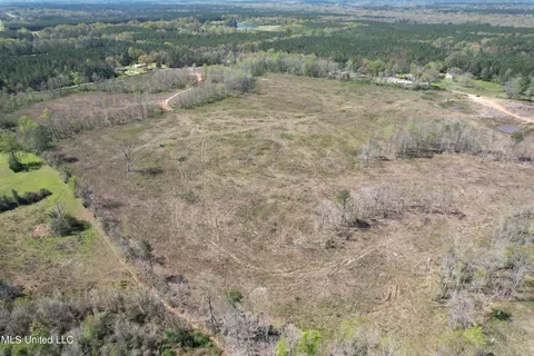 Harrison Road, Forest, MS 39074 photo 4