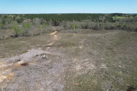 Harrison Road, Forest, MS 39074 photo 26