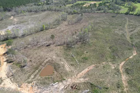 Harrison Road, Forest, MS 39074 photo 11