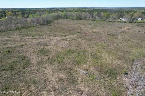 Harrison Road, Forest, MS 39074 photo 30
