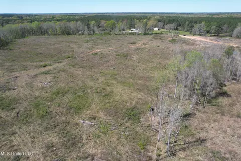Harrison Road, Forest, MS 39074 photo 31