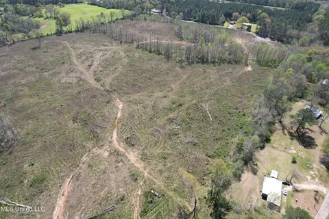 Harrison Road, Forest, MS 39074 photo 12