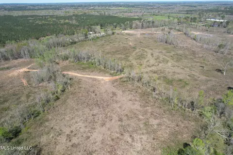 Harrison Road, Forest, MS 39074 photo 6