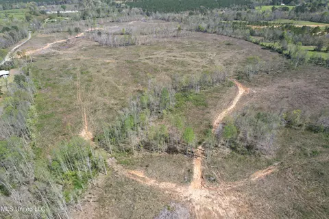 Harrison Road, Forest, MS 39074 photo 8