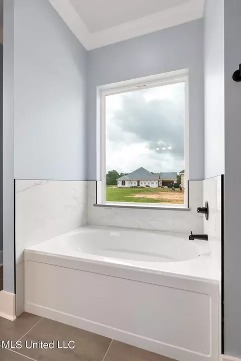 Bath - 5 S Caesar Dr, Carriere, MS 39426 photo 4 of 6