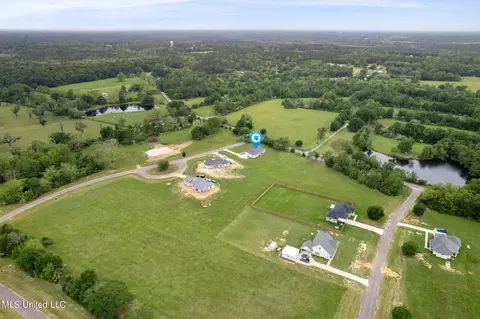 View/Area - 5 S Caesar Dr, Carriere, MS 39426 photo 4 of 4