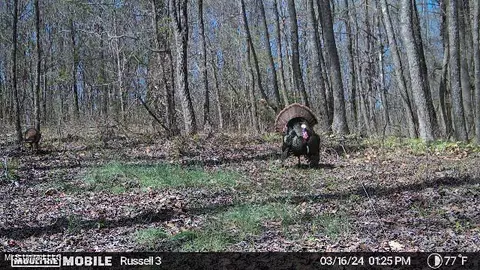 01 Branan, Coldwater, MS 38618 photo 10