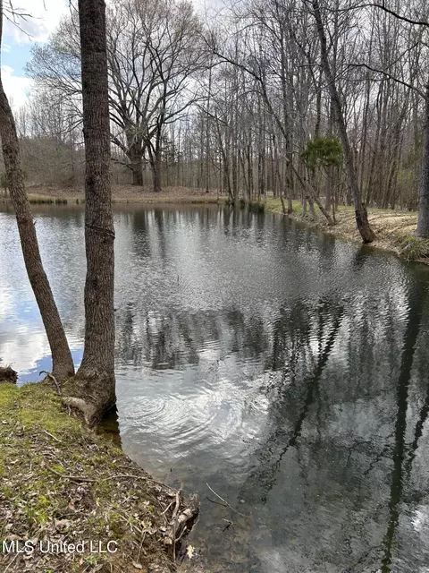 01 Branan, Coldwater, MS 38618