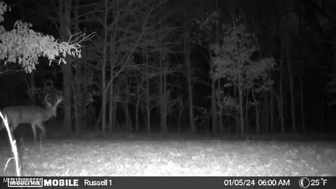 01 Branan, Coldwater, MS 38618 photo 13