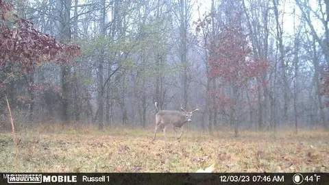 01 Branan, Coldwater, MS 38618 photo 15