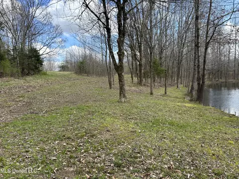 01 Branan, Coldwater, MS 38618 photo 4