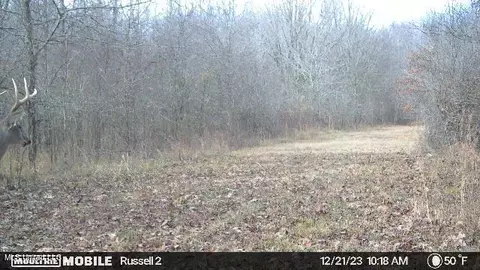 01 Branan, Coldwater, MS 38618 photo 14