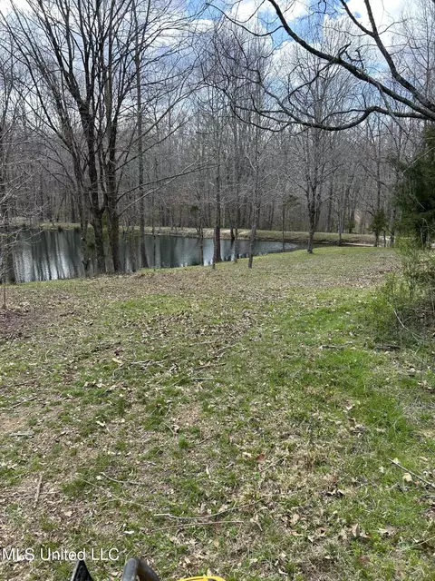 01 Branan, Coldwater, MS 38618 photo 2