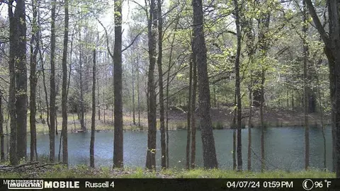 01 Branan, Coldwater, MS 38618 photo 9