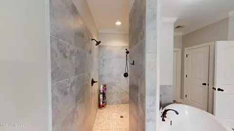 Bath - 3485 Tates Way, Hernando, MS 38632 photo 3 of 6