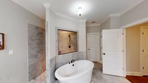 Bath - 3485 Tates Way, Hernando, MS 38632 photo 1 of 6