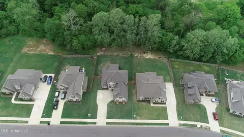 View/Area - 3485 Tates Way, Hernando, MS 38632 photo 1 of 2