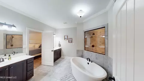 Bath - 3485 Tates Way, Hernando, MS 38632 photo 4 of 6